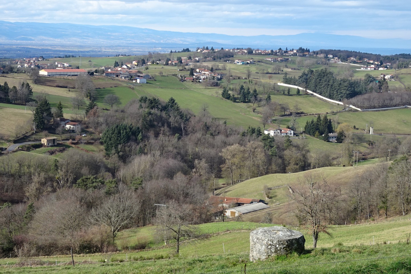Tournicoton