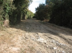 Fussy.Bois de Contremoret.Défoncé,ornières,remblai