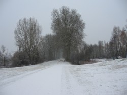 Bourges.Trouée verte sous la neige.