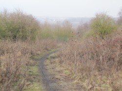 VTT-9214