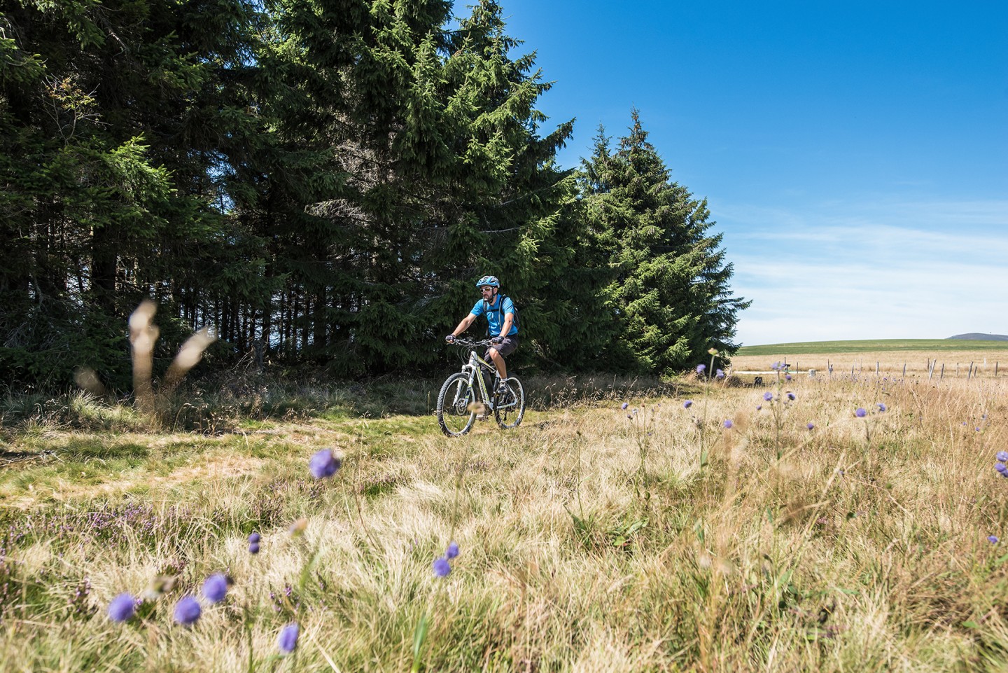 Espace VTT-FFC Ambert-Crêtes du Forez : Parcours N° 5