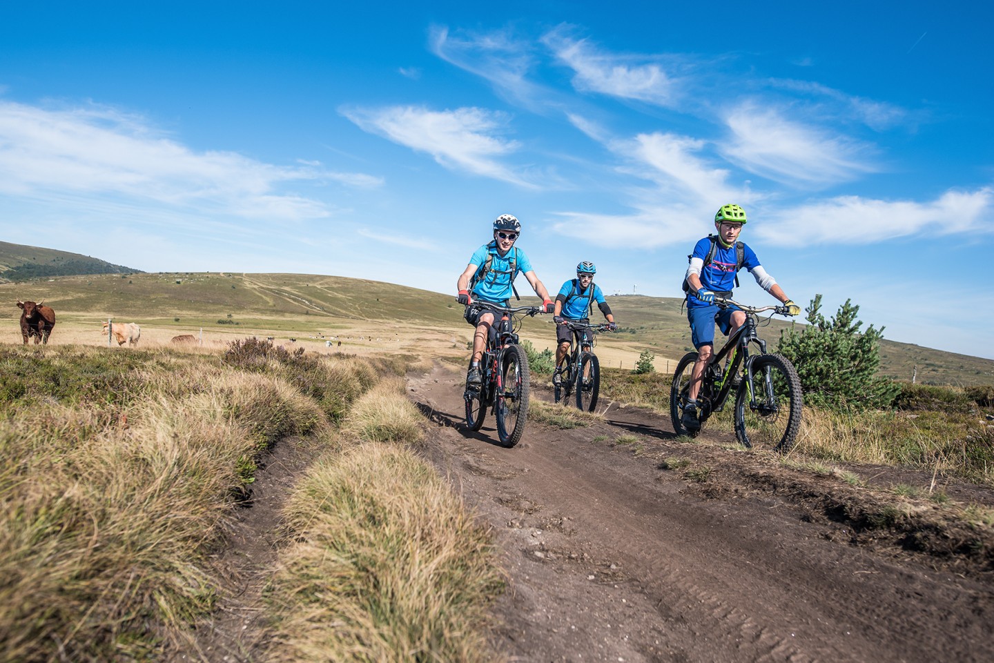 Espace VTT-FFC Ambert-Crêtes du Forez : Parcours N° 13