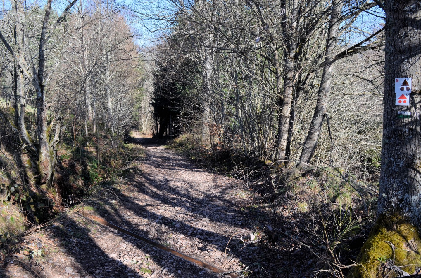 Espace VTT-FFC Ambert-Crêtes du Forez : Parcours N° 29