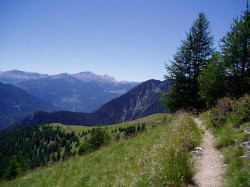 Après le Col Garnier la descente se fait à 'donf dans l'herbage au fond