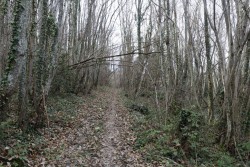 VTT-9285
