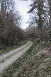 VTT-9288