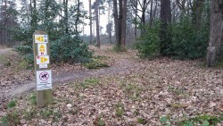 Retour du circuit 1 sur Mi-Forêt