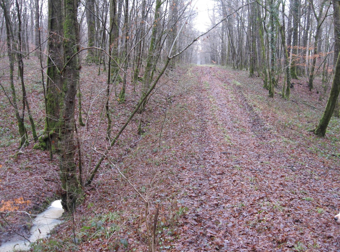 Randonnée découverte des chapelles autour de Breurey
