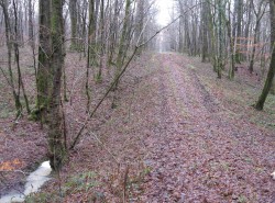 La Villedieu.Bois de Lauxon.Combe des Crayes.