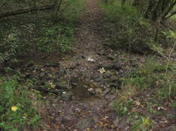 Neurey-en-Vaux.Gué du ruisseau ''le Bâtard'' Bois des Revreuges.