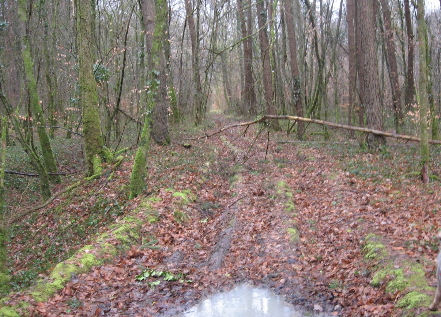 Les épouvantails d’Equevilley et la forêt de Conflans au départ de Breurey