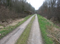 Mersuay.Le Chanois.Chemin tout terrain roulant.Vers D28