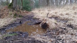 Parfois humide par temps de pluie