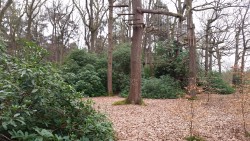Parc accrobranche de Mi-Forêt à Liffré