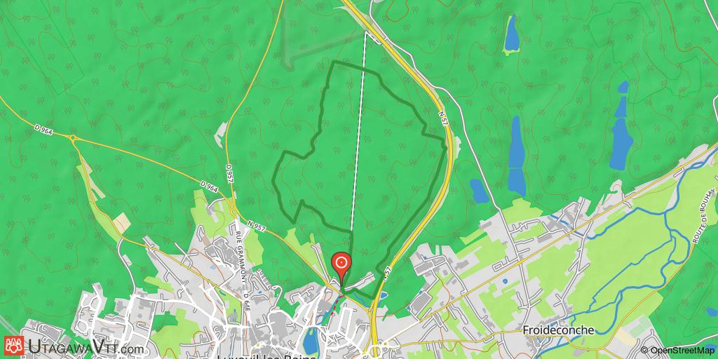 Parcours type XC - Forêt du Banney
