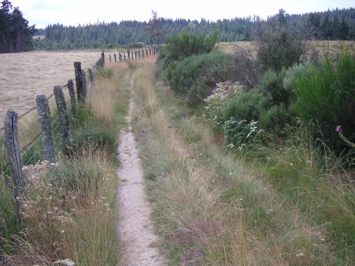 Entre Javols et Aumont-Aubrac