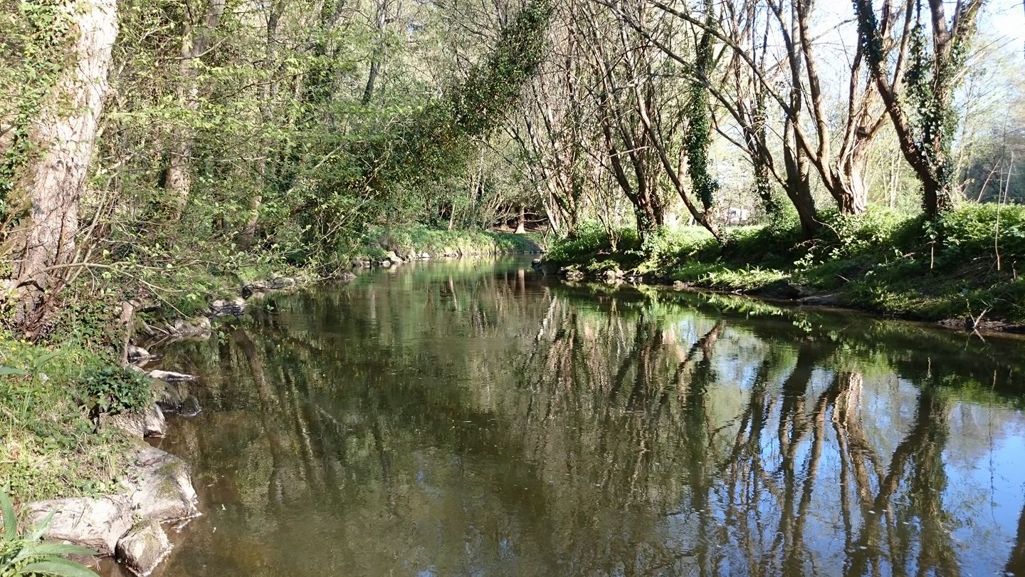 Forêt de Saint-Aubin-du-Cormier et la vallée du Couesnon