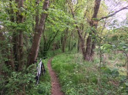 De superbes traces, ça monte, ça descent, ça tourne.... :-)