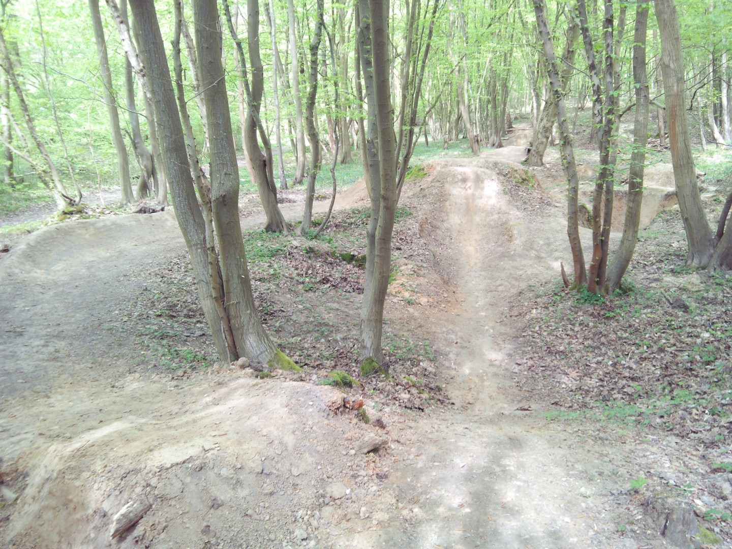 Parcours en forêt de Roumare