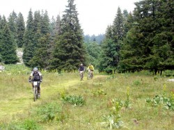 Plateau de la Molière