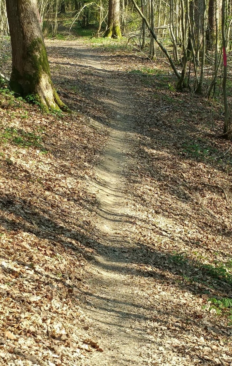 De Cerfontaine à la source de l'Eau d'Heure