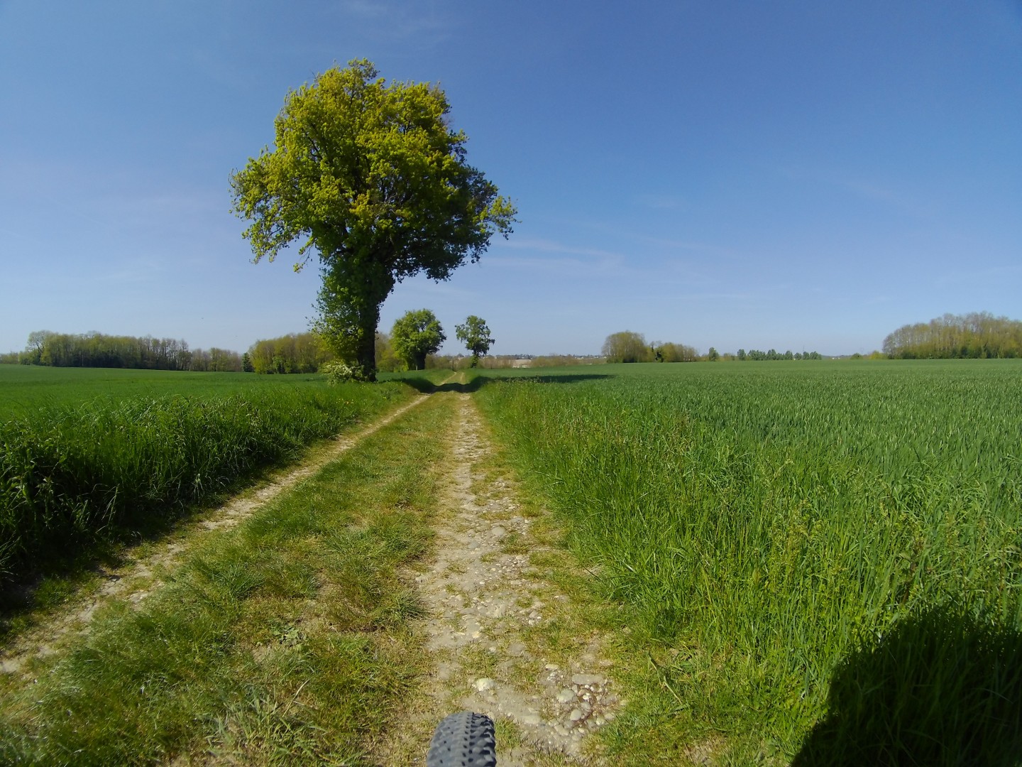 Plateau de Miribel à partir du parc de la Tête d'Or