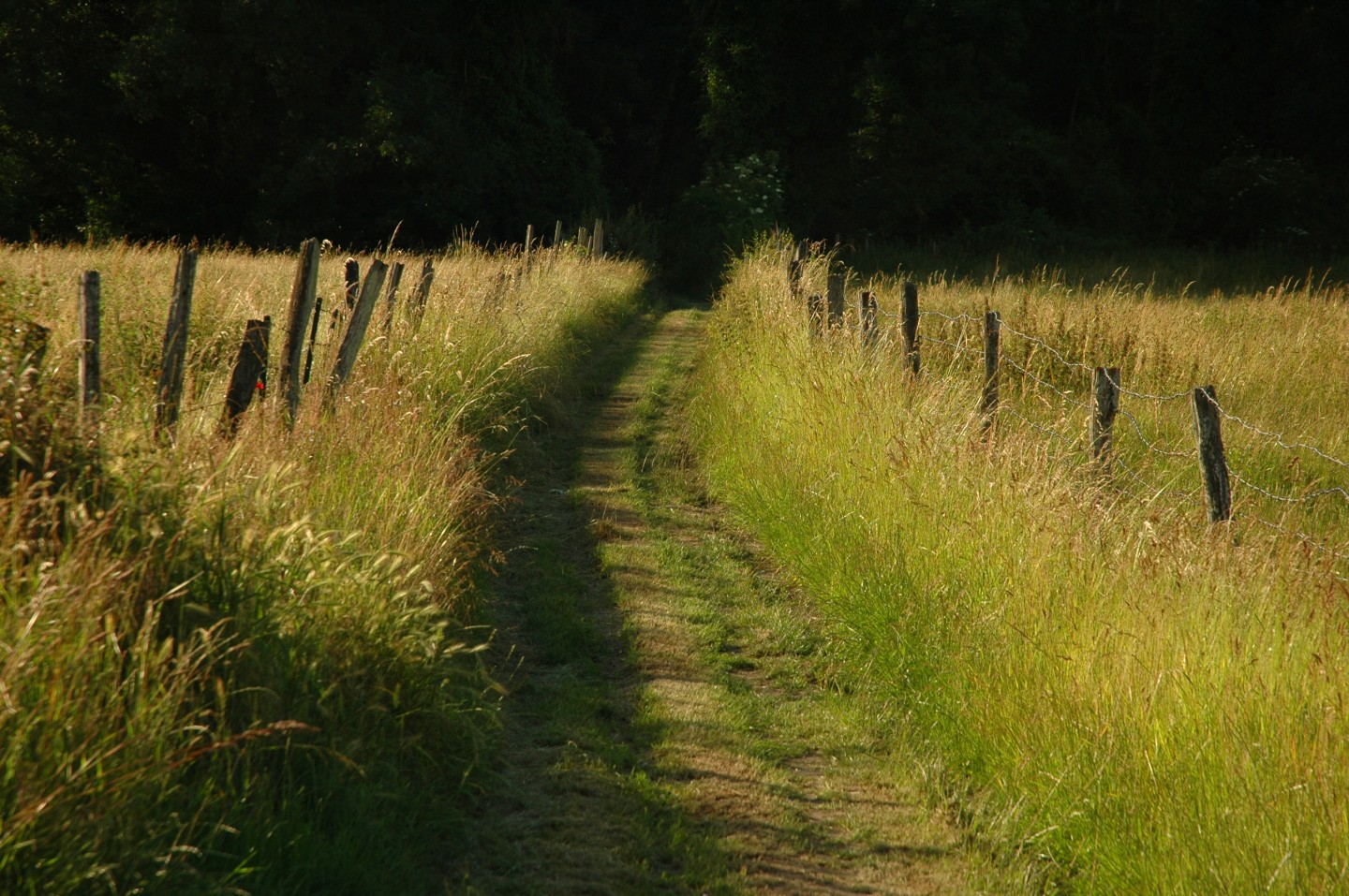 Vallée de l'Eure champêtre