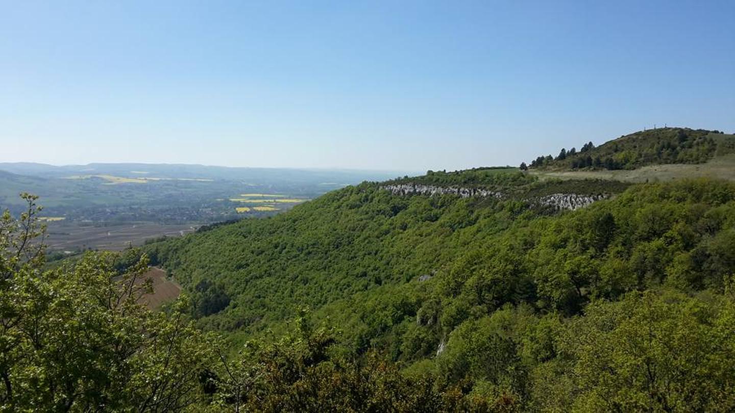 Puligny-Montrachet 2017 - 47 km