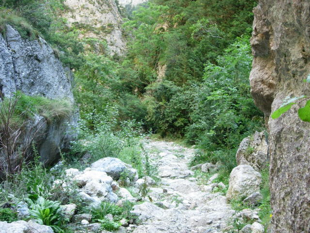Les sentiers cathares de Montségur