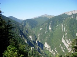 km 24 : au pas de l’ours, en face la sortie des gorges de la Frau