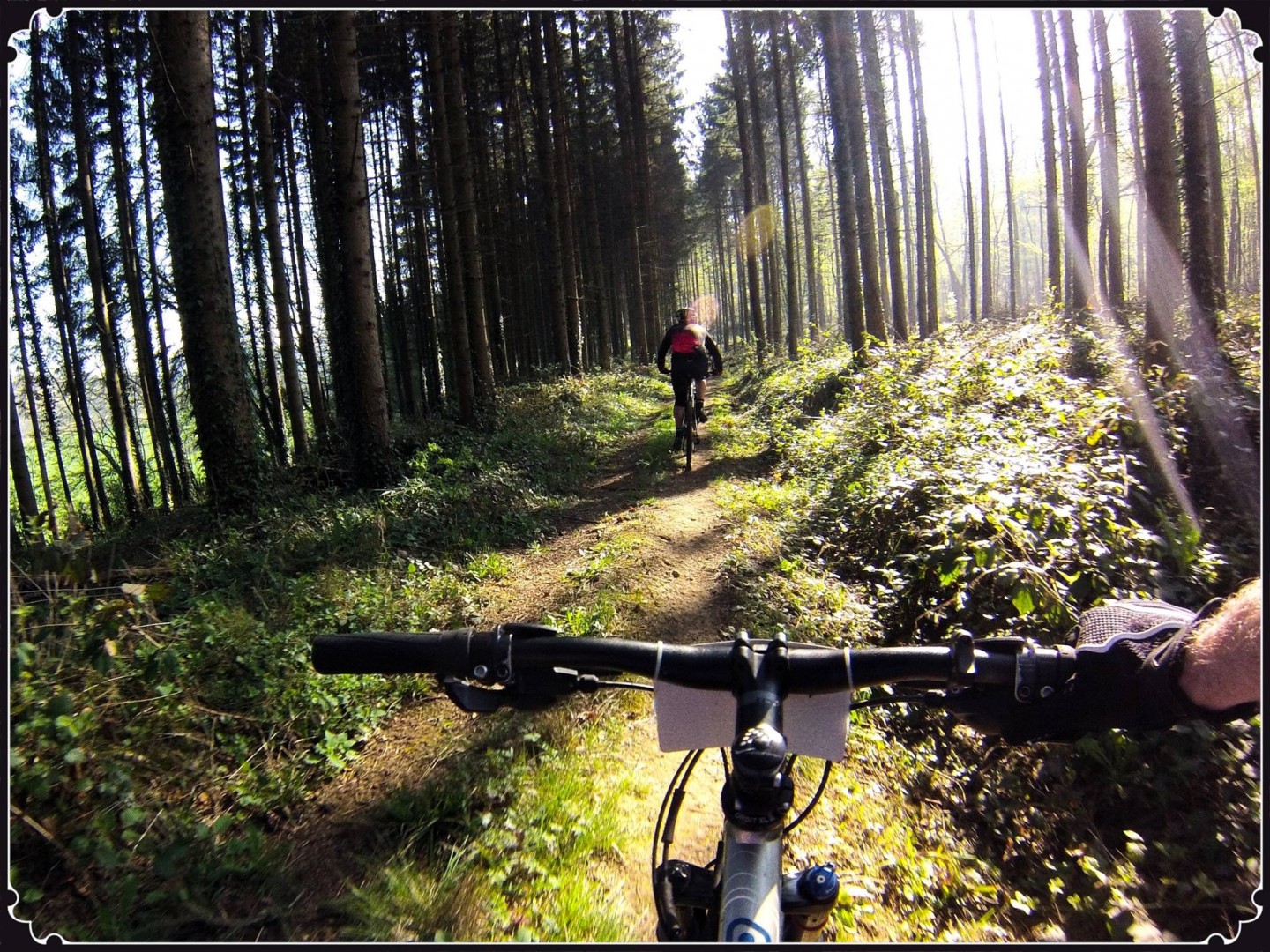 Au Pays des Sources 2017 - Grand parcours - 43 km