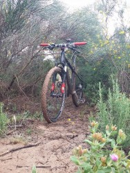 VTT-10770