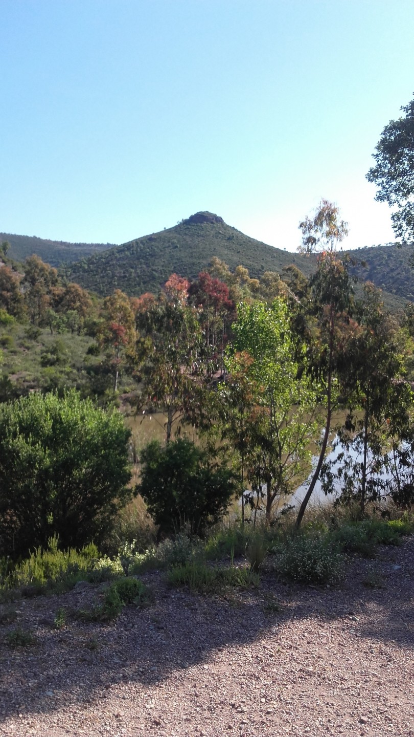 Sommet du Bonnet du Capelan