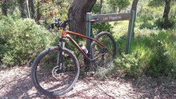 VTT-9918