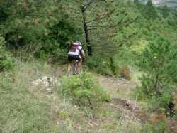 dans les bois de la forêt domaniale des corbières