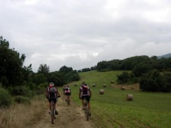 km10   dans les bordures de bois à Cantauque