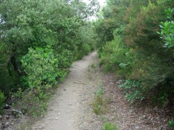 Km30 sentier au col  Lemercier