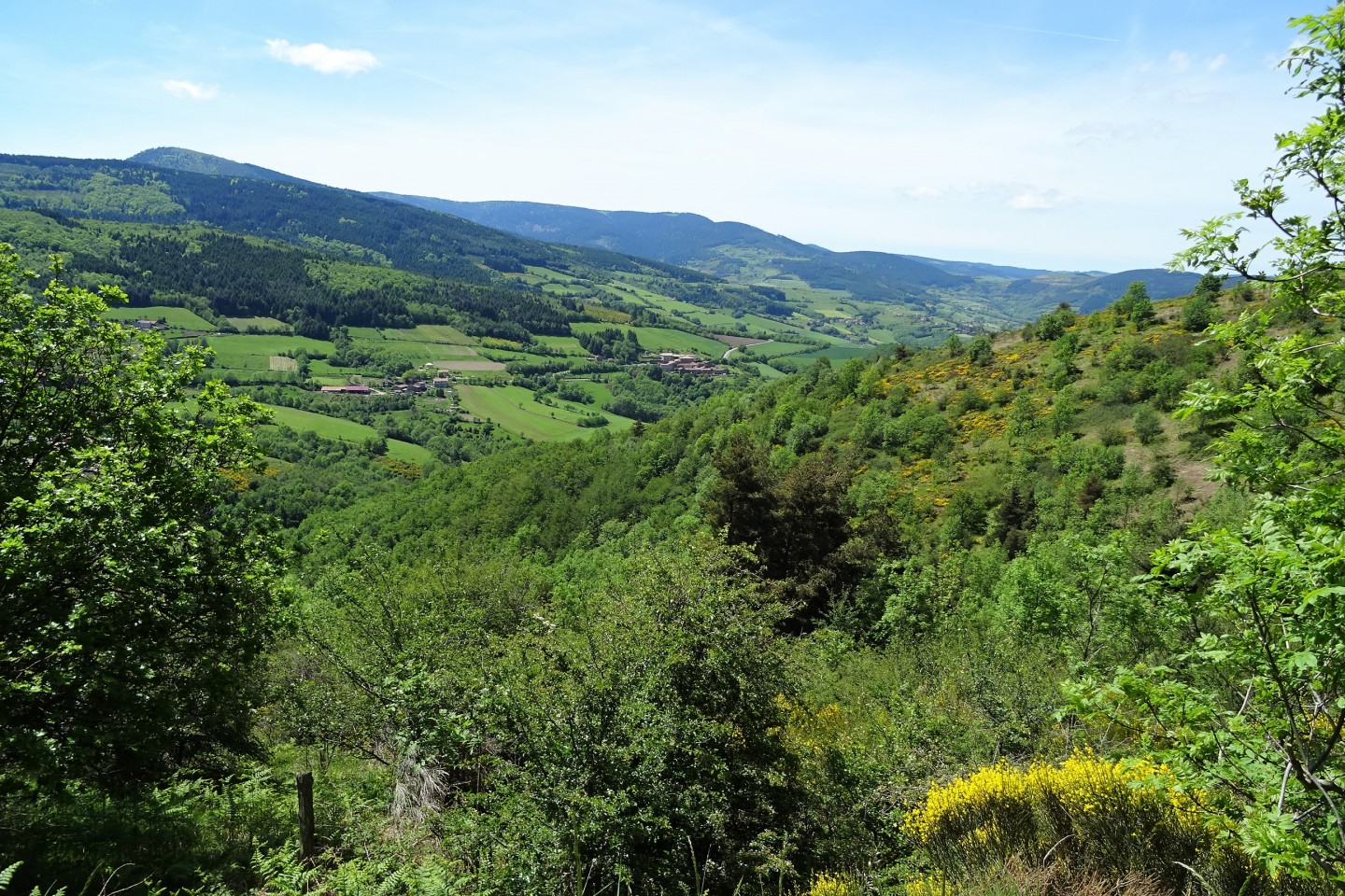 La Sampoutaire 2017 - 55 km