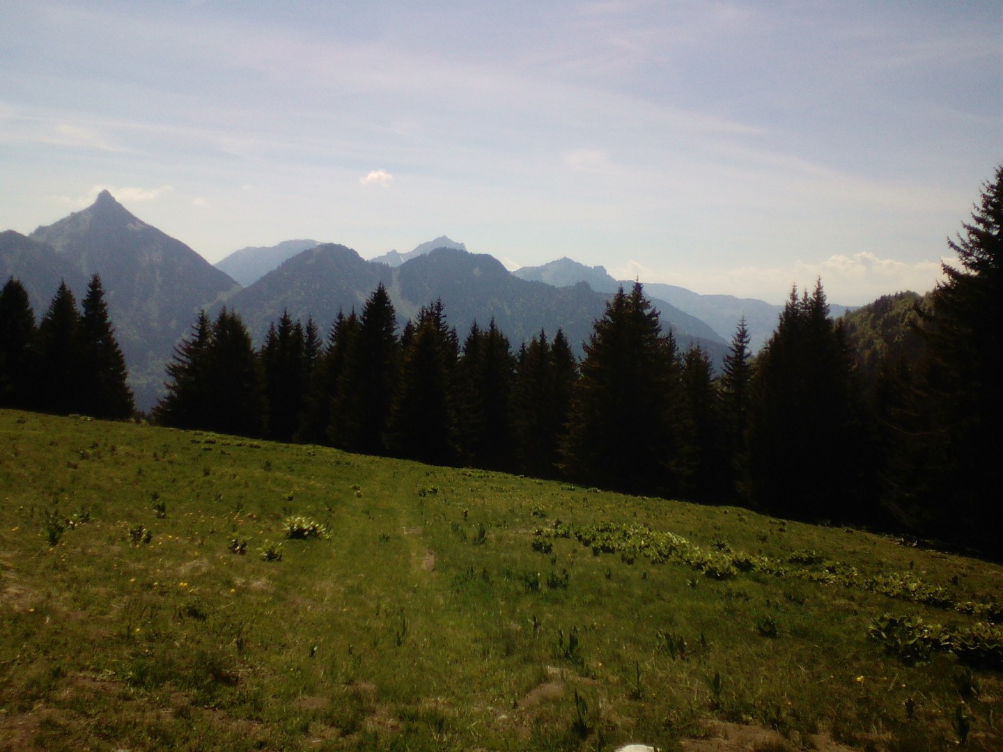 Le 8 du Mont Baron