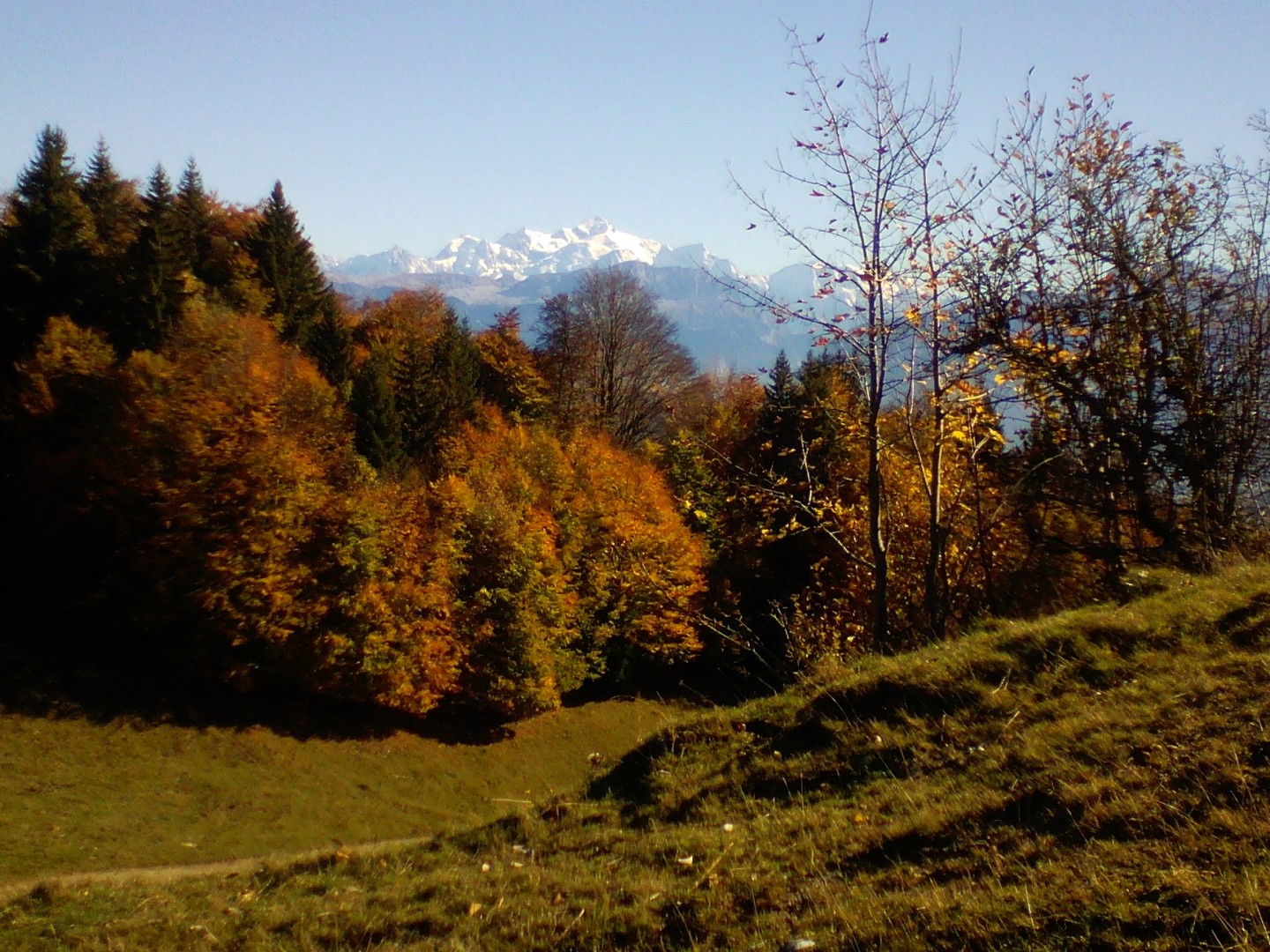 Les 1000 m de Viuz