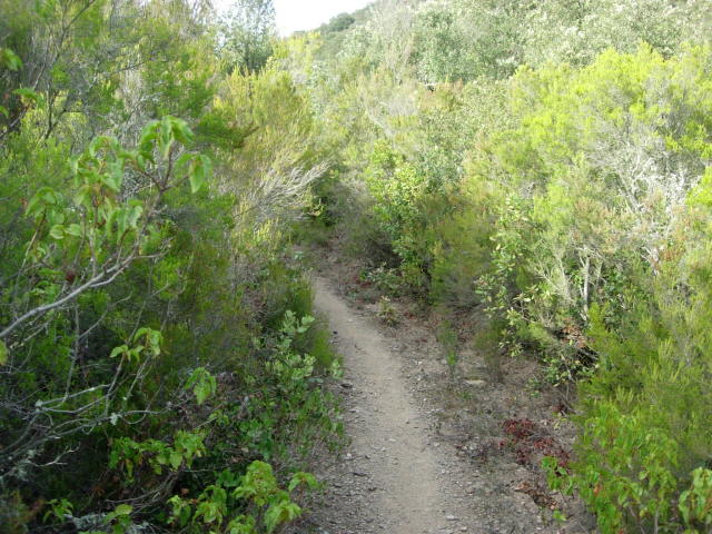 Raid Limoux à Leucate : Lagrasse - Embres  (Etape 2/3)