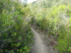 Km57 le sentier cathare va devenir plus technique…