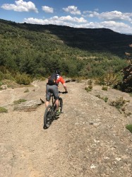 VTT-10125