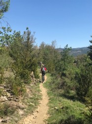 VTT-10129
