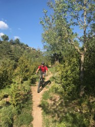 VTT-10130