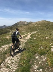 VTT-10088