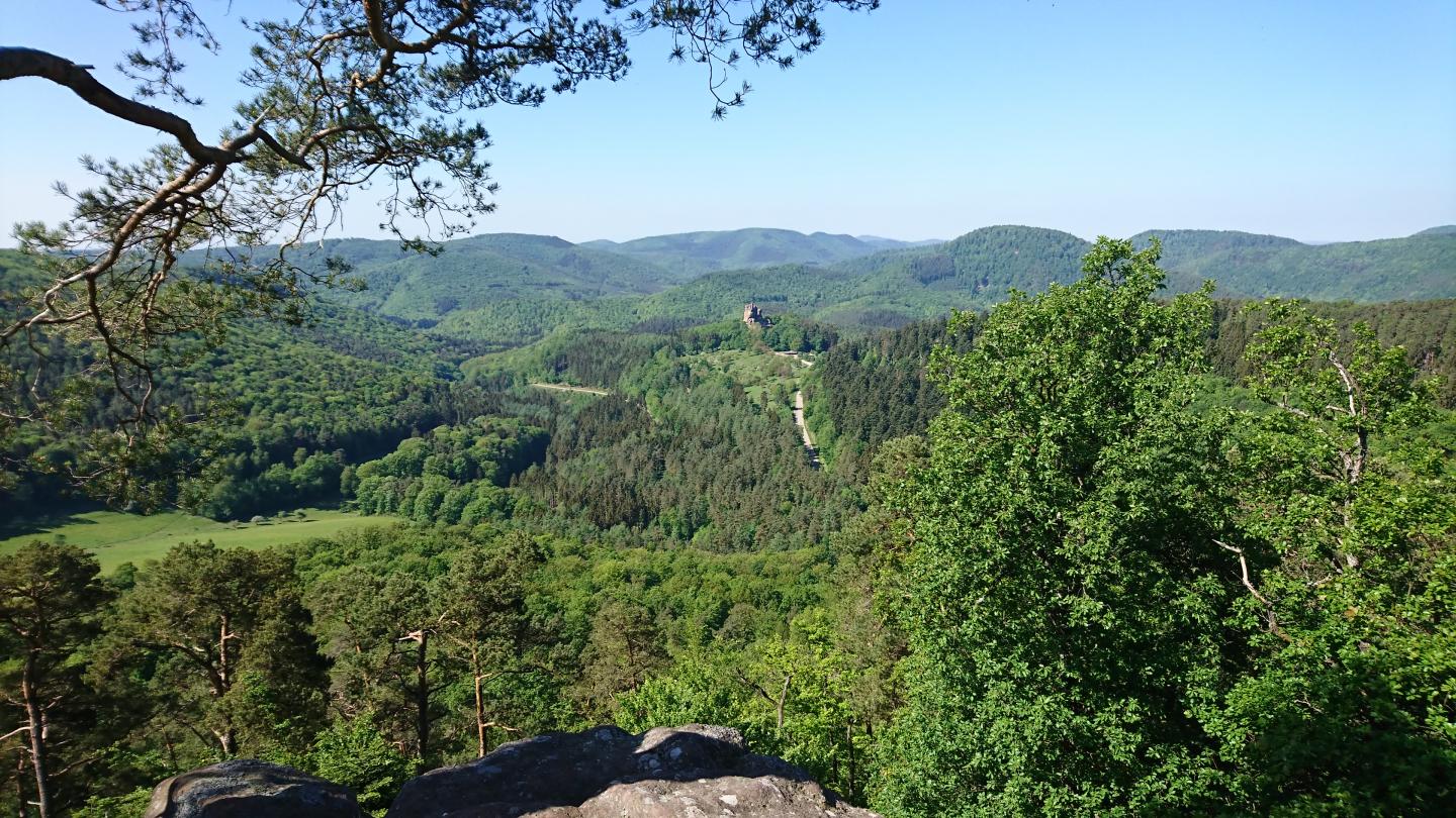 Woerth - Le Soultzerkopf - Le Pigeonnier - Wingen - Lembach - Woerth