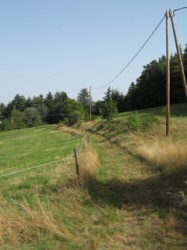 Chemin de parcours proche de l'auberge de combeyron