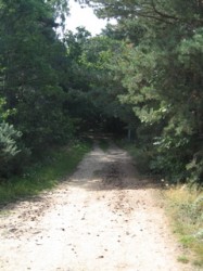 Chemin d'accès vers le seyterre