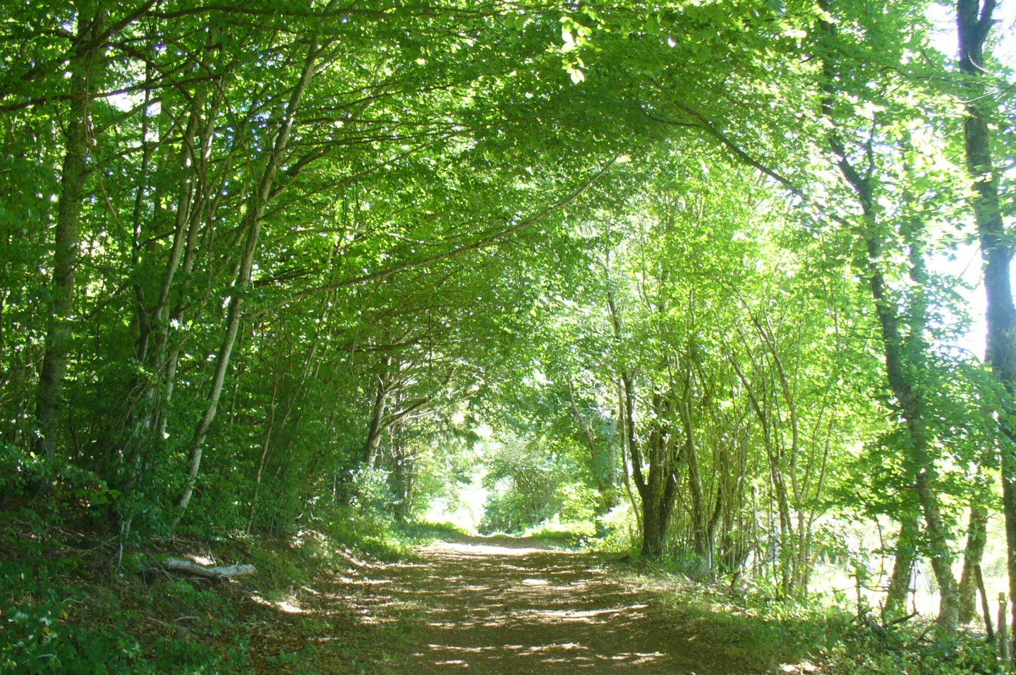 Autour de Gelles